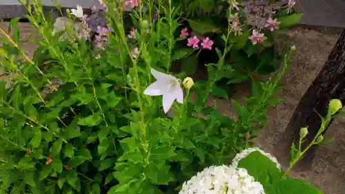 櫛田神社の庭園