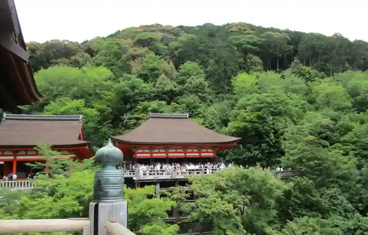 清水寺(京都府)