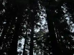 大宮温泉神社(栃木県)(2023年12月20日(水) 08時17分02秒投稿)