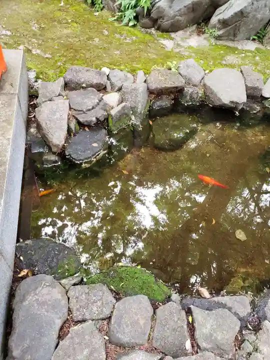 熊野神社(東京都)