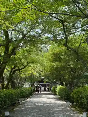 西教寺(滋賀県)