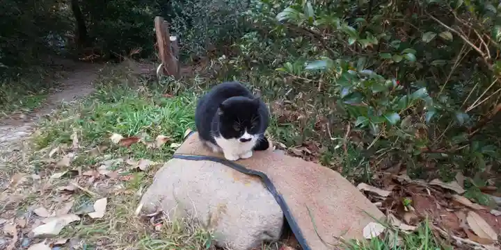 伏見稲荷大社の動物