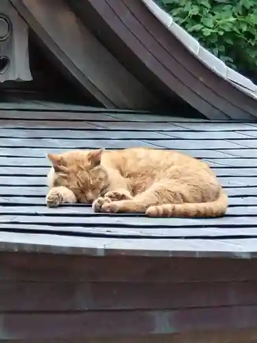 江島神社(神奈川県)