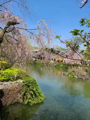 三嶋大社の庭園