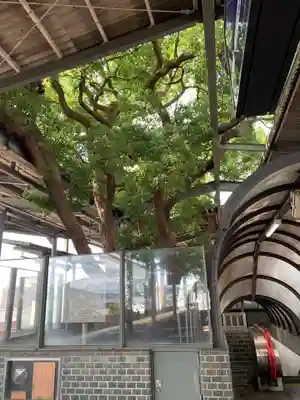 萱島神社(大阪府)