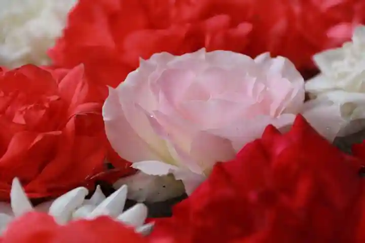 田村神社の手水舎