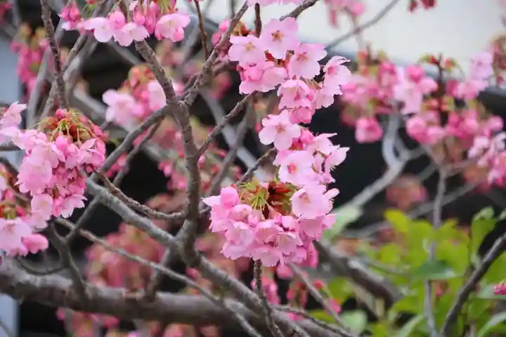 阿邪訶根神社の自然