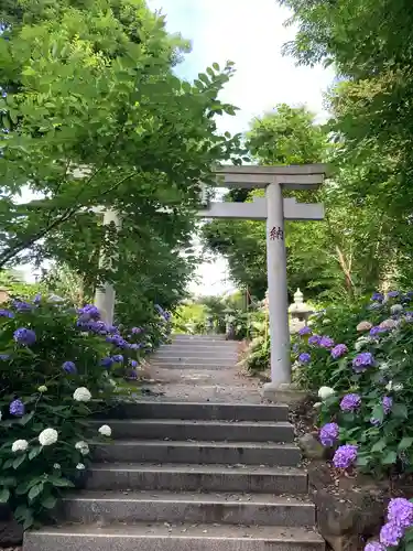 蓮田東照宮の鳥居