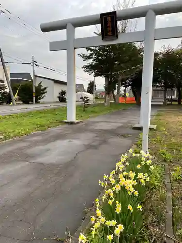 本郷鹿島神社の鳥居