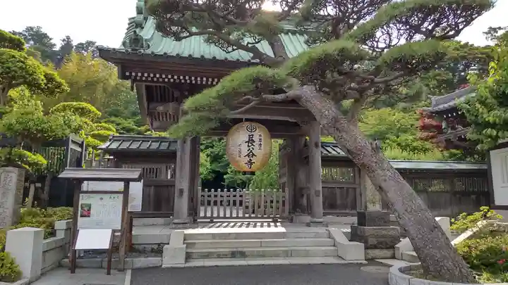 長谷寺の山門・神門