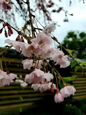 福蔵院(東京都)