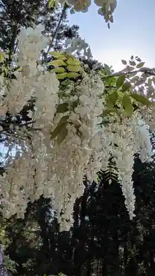 歌泉堂（春日大社神苑萬葉植物園内鎮座）(奈良県)