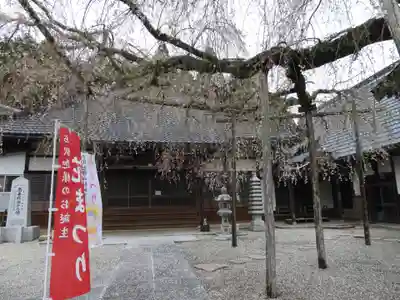 荘厳寺(岐阜県)