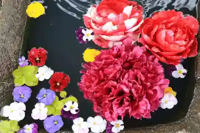 大鏑神社の手水舎