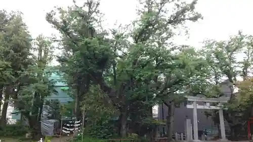 本郷氷川神社(東京都)