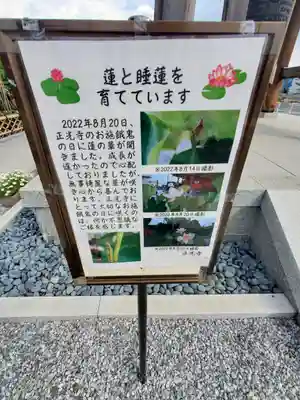 正光寺(埼玉県)