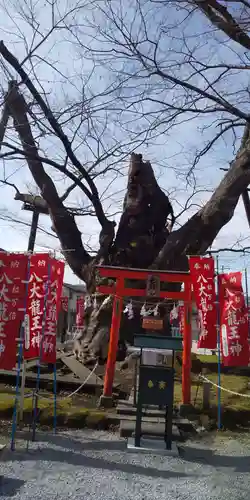 秩父今宮神社の自然
