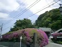 安養院 (田代寺)の周辺