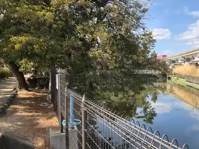 奈良春日神社の周辺