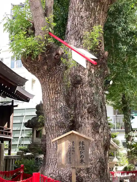 三輪神社(愛知県)