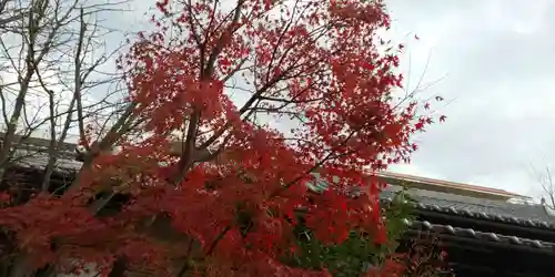 賀茂波爾神社（賀茂御祖神社境外摂社）の自然