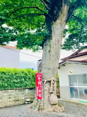 須賀神社(宮城県)