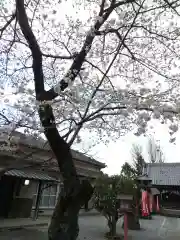 大天白神社(埼玉県)