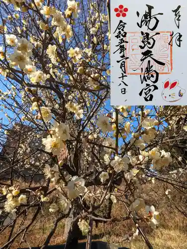 湯島天満宮の自然