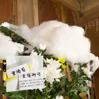 釧路一之宮 厳島神社のお守り