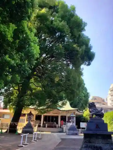 荻窪白山神社(東京都)