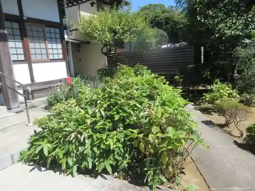 悟心寺(神奈川県)