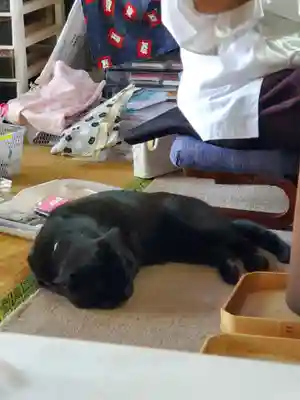 高司神社〜むすびの神の鎮まる社〜(福島県)