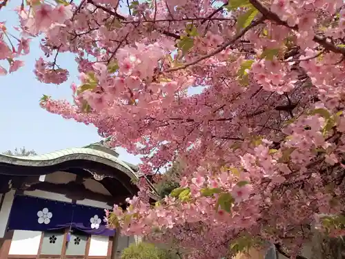 新井薬師（梅照院）(東京都)