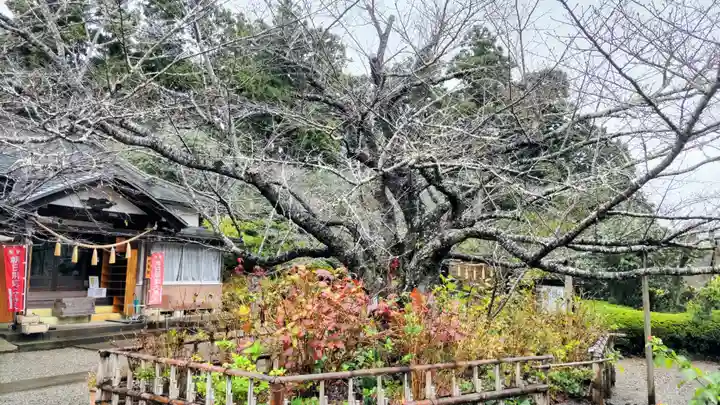 真野寺(千葉県)