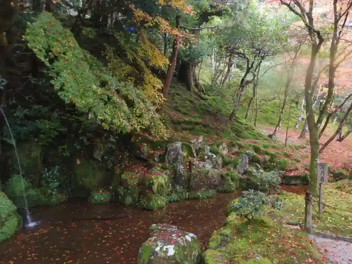 慈照寺(慈照禅寺・銀閣寺)の庭園