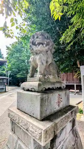 滝野川八幡神社の狛犬