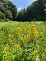 十二山神社(群馬県)