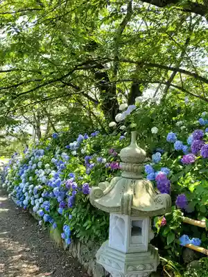 白和瀬神社(福島県)