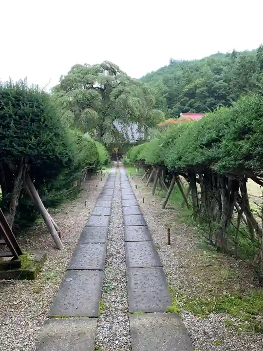 南泉寺のその他建物