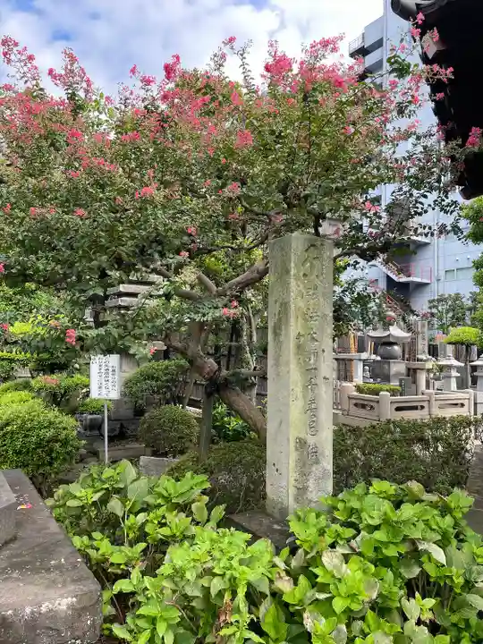 観音寺(東京都)