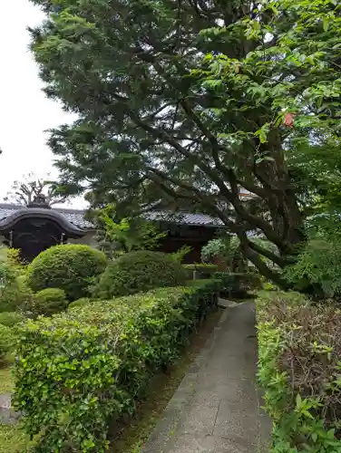 東向観音寺(京都府)