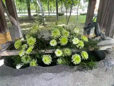 彌彦神社　(伊夜日子神社)の手水舎