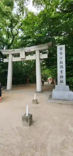 住吉神社の{uncategorized: "未分類", other: "その他", undefined: "問題あり", building: "その他建物", grave: "お墓", sacred_gate: "鳥居", guardian: "狛犬", statue: "像", buddha: "仏像", history: "歴史", nature: "自然", garden: "庭園", animal: "動物", pagoda: "塔", temizu: "手水舎", mountain_gate: "山門・神門", sanctuary: "本殿・本堂", subordinate: "末社・摂社", art: "芸術", scenery: "景色", jizo: "地蔵", ema: "絵馬", goshuin: "御朱印", omikuji: "おみくじ", items: "授与品その他", amulet: "お守り", goshuincho: "御朱印帳", eats: "食事", festival: "お祭り", votive_dance: "神楽", shichigosan: "七五三参", wedding: "結婚式", experience: "体験その他", initially: "初詣", around: "周辺", anti_infection: "感染症対策"}