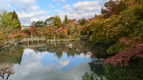 禅林寺（永観堂）(京都府)
