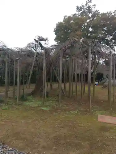 最頂院妙安寺(茨城県)