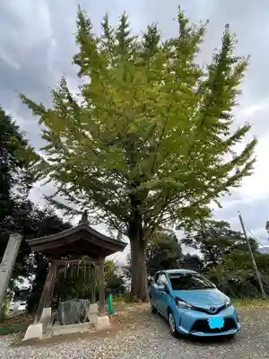 白髭神社の手水舎