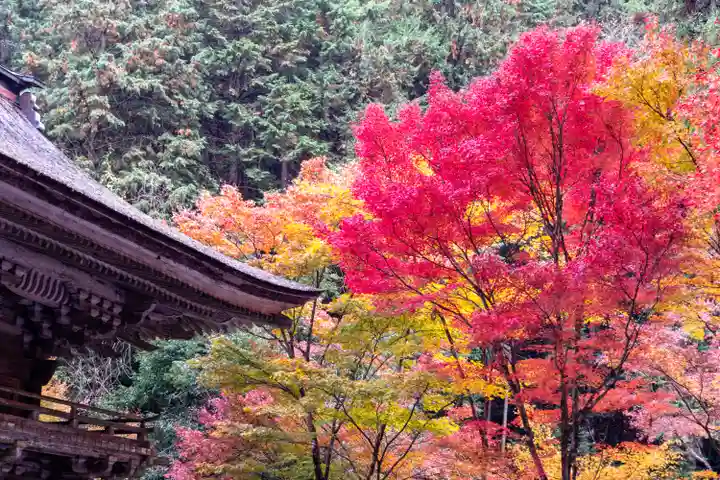 大矢田神社(岐阜県)