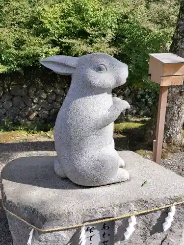 出雲大神宮の狛犬