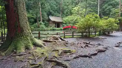 小國神社(静岡県)