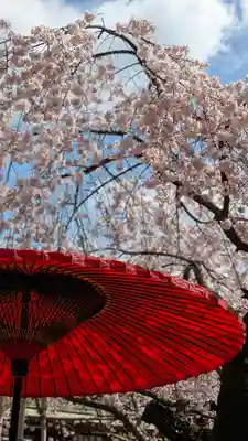 水無瀬神宮(大阪府)